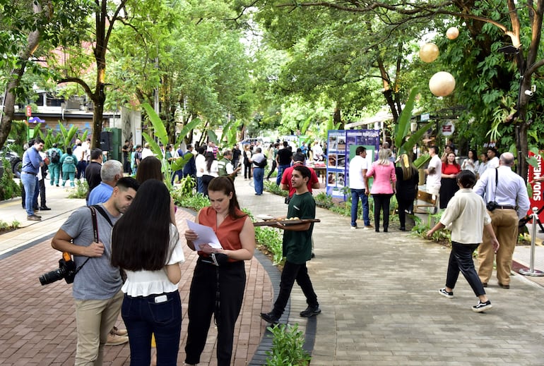 La Cuadrita, el primer pasaje natural de Asunción ubicado sobre la calle Alberto de Souza.