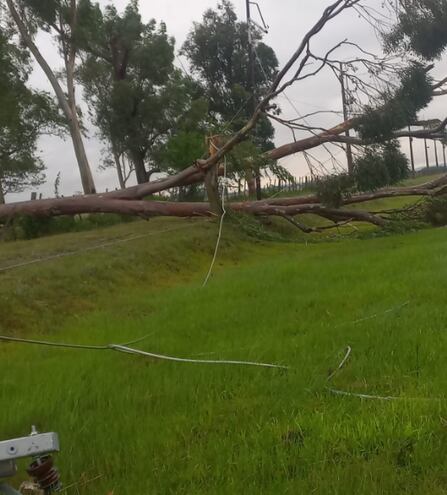 Ande repone servicio de energía eléctrica tras temporal.