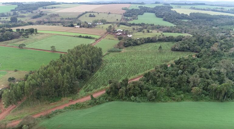 Paisaje con cultivos agrícolas extensivos, de eucaliptos, yerba mate y bosques nativos. Todo esto capta CO2  y se puede aprovechar.