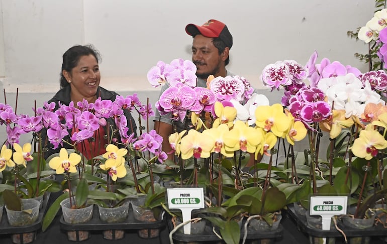 Expo Flora da la bienvenida a la primavera con el esplendor de las flores.