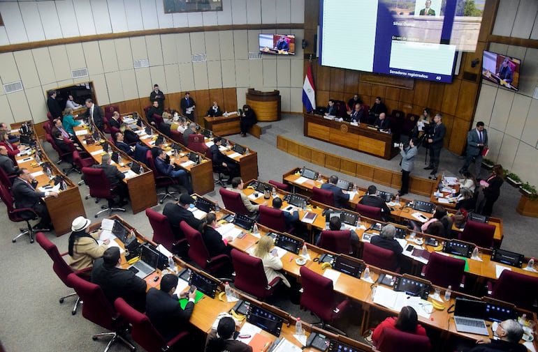 El Senado aprobó el lunes durante su sesión el proyecto de ley que permite el control a las ONG.