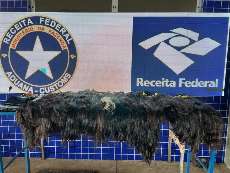 El lote cabello humano incautado en el puente de la Amistad.