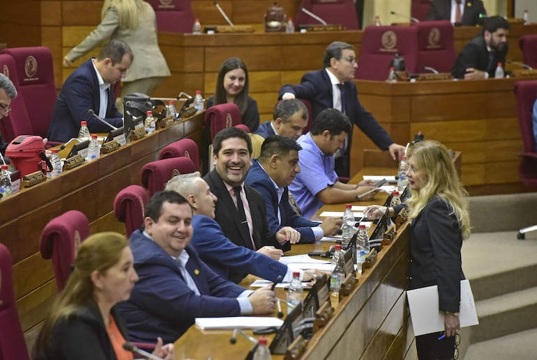 La Cámara de Diputados en sesión extraordinaria tratará el PGN 2025 el próximo lunes 11.