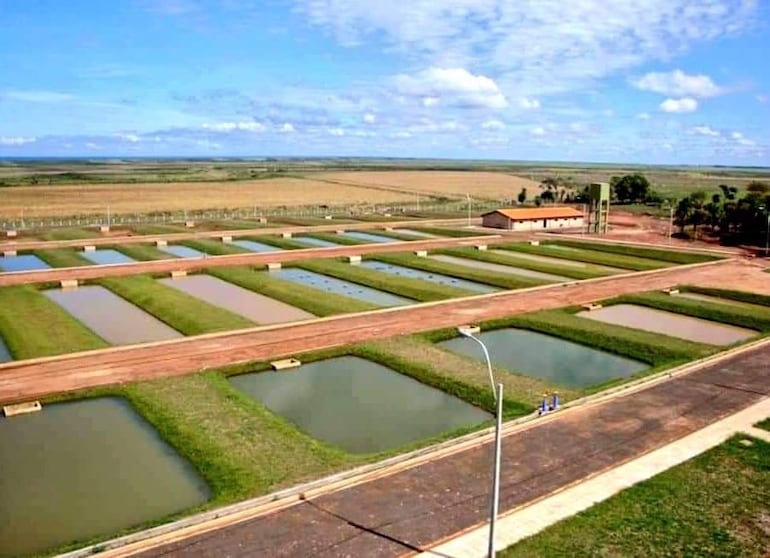 Estación de Piscicultura de San Cosme.