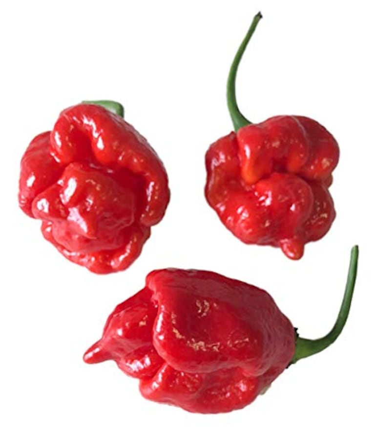 El ají más picante del mundo es el Trinidad Scorpion producido en Australia.