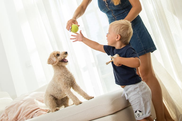 Niños y perros juegan juntos, pero no se debería dejarlos solos.