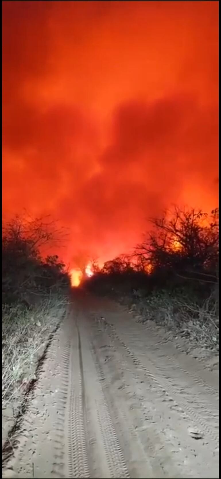 Verdadero infierno rojo en la reserva chovoreca en el Alto Paraguay