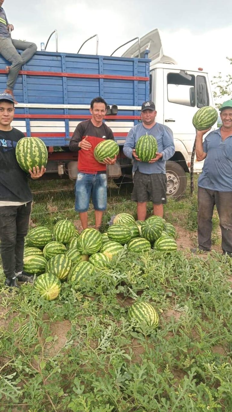 En la compañía Mbatoví, algunos productores ya están cosechando sandías, especialmente aquellos que tienen variedades tempranas.