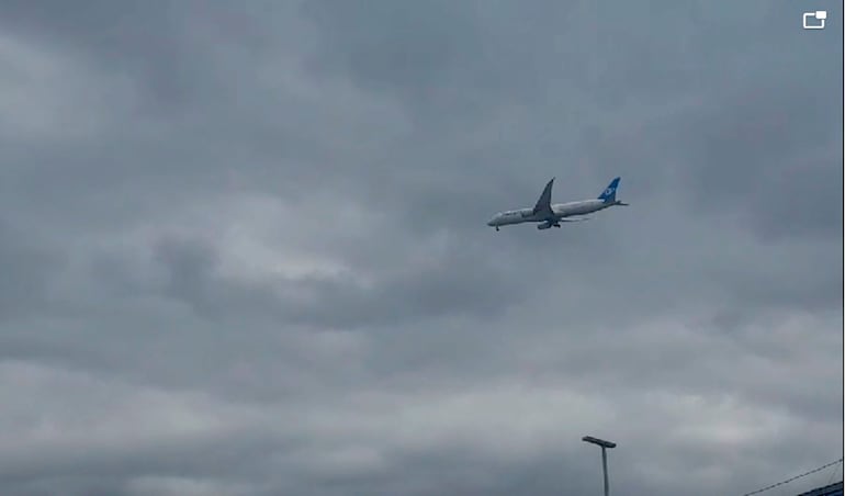 Aeronave 787-9 de Air Europa que recibió el impacto de un ave en el motor izquierdo.