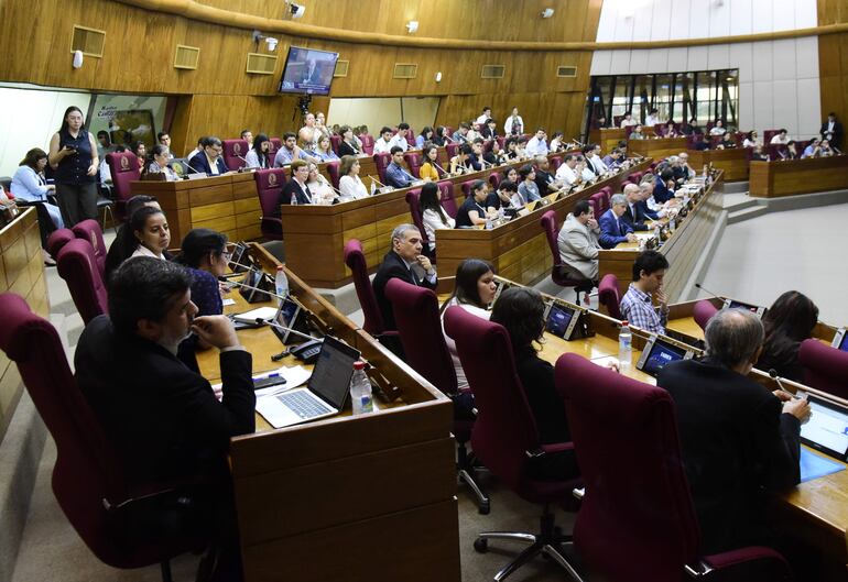 Audiencia Pública sobre Arancel Cero en la sala de sesiones de la Cámara de Diputados.