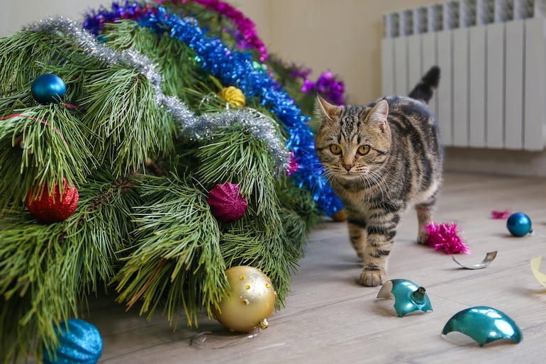 Gato y árbol de Navidad.