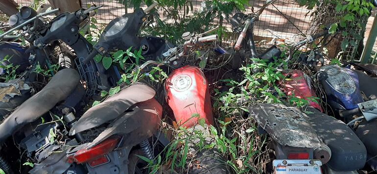 Algunos biciclos permanecen en el corralón desde hace cinco años. 