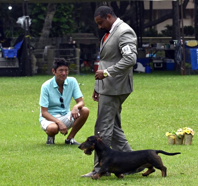 La Exposición Internacional y Latinoamericana Canina 2024 que fue 
organizada por el Paraguay Kennel Club congregó a expertos de distintos 
países