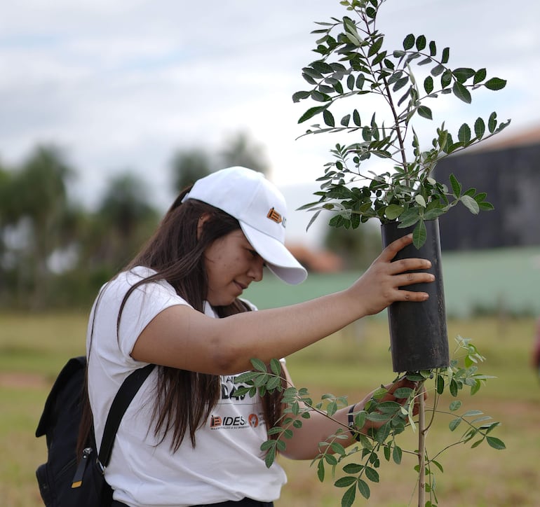 Plantas nativas y en peligro de extinción ya son parte del gran loteamiento.