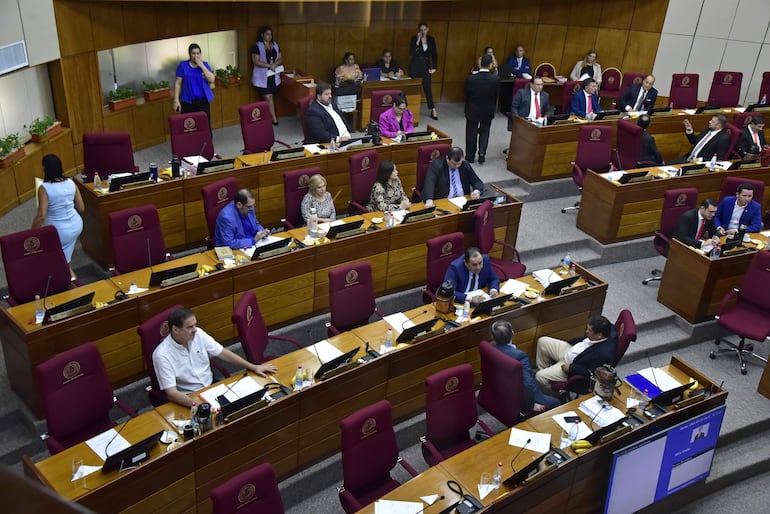 Sector "opositor" en el Senado. 