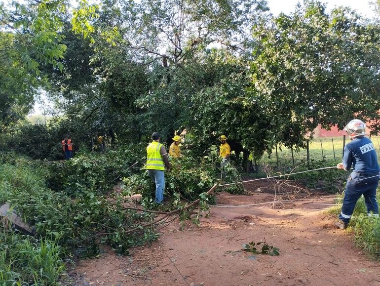 Funcionarios de la municipalidad y bombros voluntarios trabajan para despejar las calles afectadas por árboles caídos y cables sueltos.