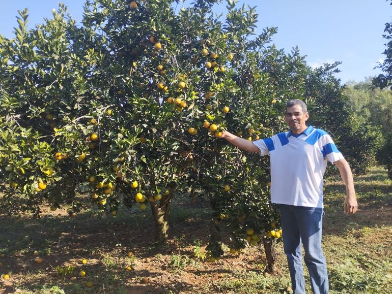 El productor Gustavo Duarte de la colonia Navidad muestra la calidad de las frutas de naranja de su chacra