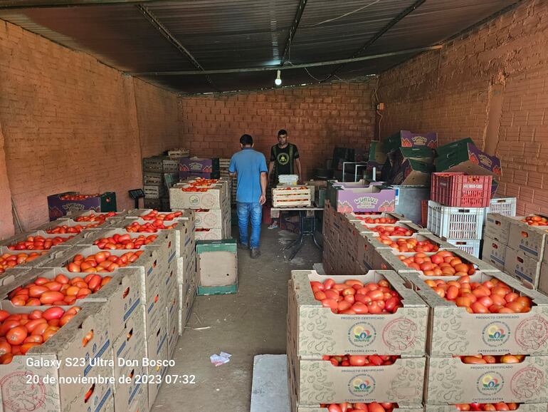 Cajas de tomate certificadas como nacional por el Senave, en zona de producción.