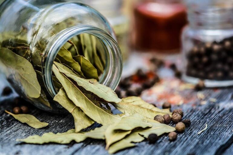 La hoja de laurel es rica en antioxidantes, minerales y fibras, lo que le confiere la capacidad de promover la salud general. Complementa el sabor de los alimentos cocinados a fuego lento, como sopas, guisos y salsas.