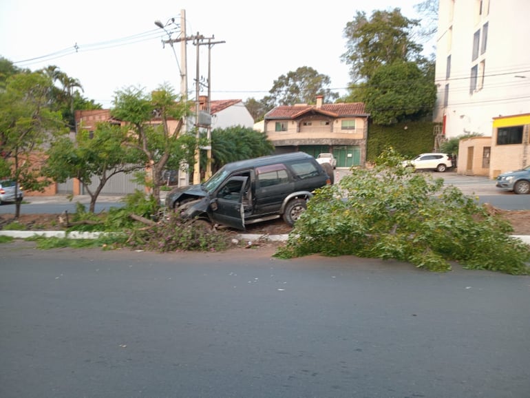 Desvió un perro y chocó contra el paseo central de la avenida Argaña