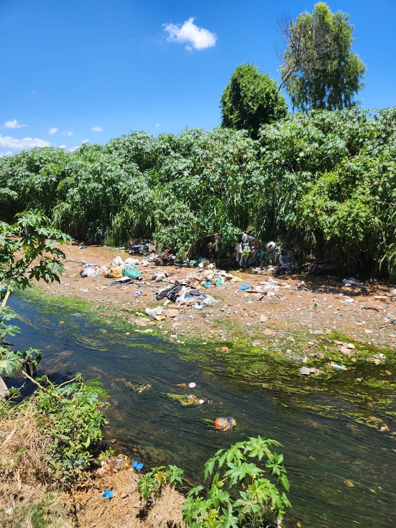 Residuos de todo tipo en los alrededores del arroyo.