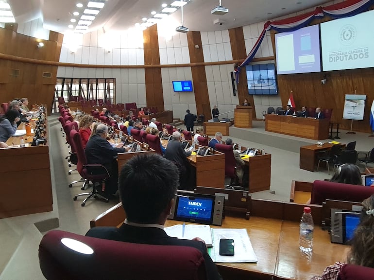 Una nutrida concurrencia se registró ayer en la audiencia pública.