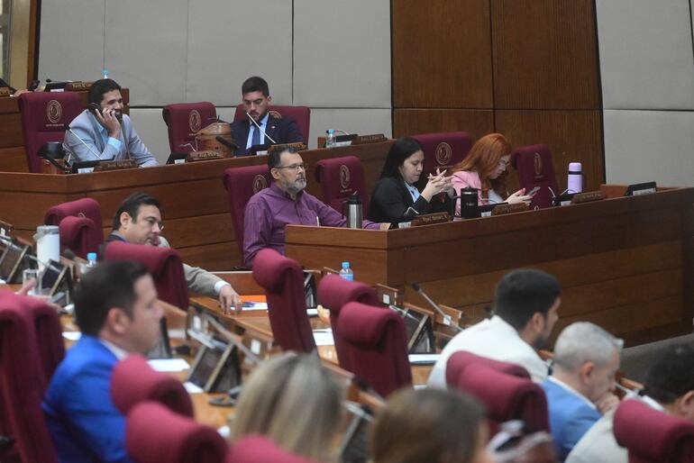 En el fondo, diputados opositores poco pudieron hacer más que advertir de las falencias o peligros que tendría esta ley.