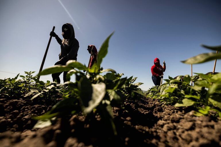 Países vulnerables reclaman a los países industrializados el pago de la "factura climática". (archivo)