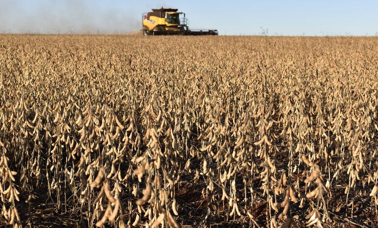 El seguro agrícola es una interesante oportunidad para el productor de no arriesgar ni siquiera sus costos de producción.