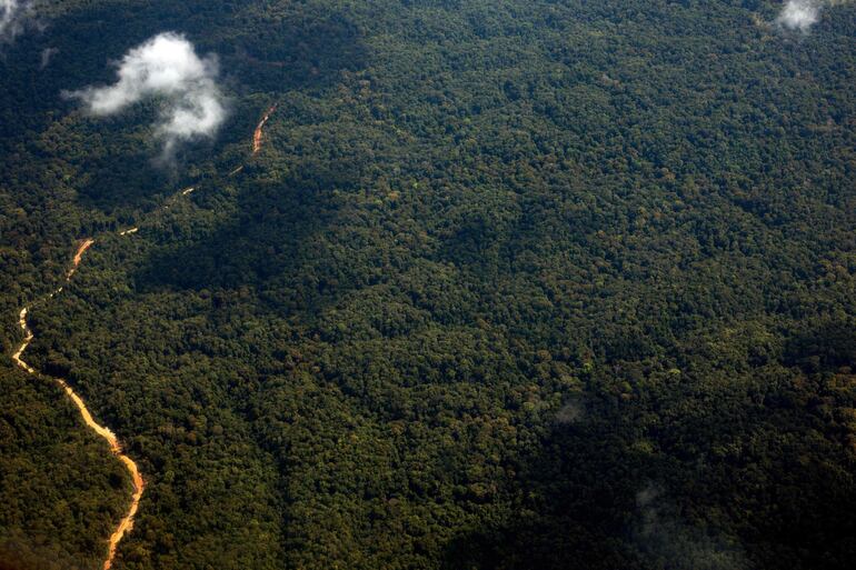 Vista aérea de la región del Esequibo tomada desde Guyana.