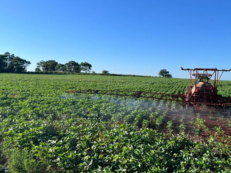 Escasez de lluvias afectará a productores de cultivos extensivos en el departamento de Itapúa.