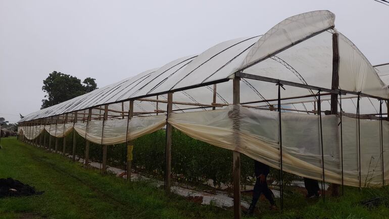 Joven falleció como consecuencia de la caída de un rayo mientras trabajaba en la huerta de su patrón en Santa Rosa Misiones.