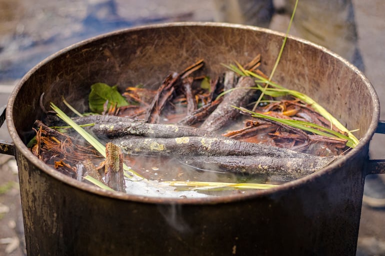 Preparación de ayahuasca