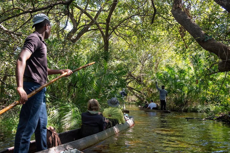 Delta del Okavango en Botsuana.