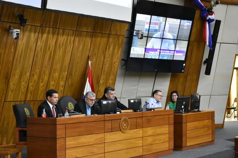 El presidente de la ANDE, Félix Sosa, en la Cámara de Diputados.