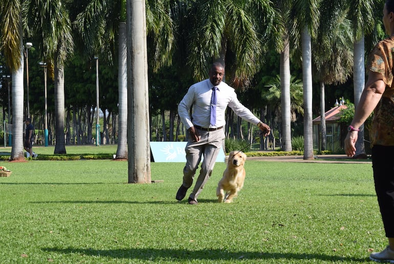 El Paraguay Kennel Club presentó la exposición internacional canina.