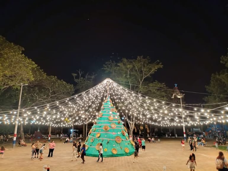 Pilar enciende la magia de la Navidad con un árbol artesanal único