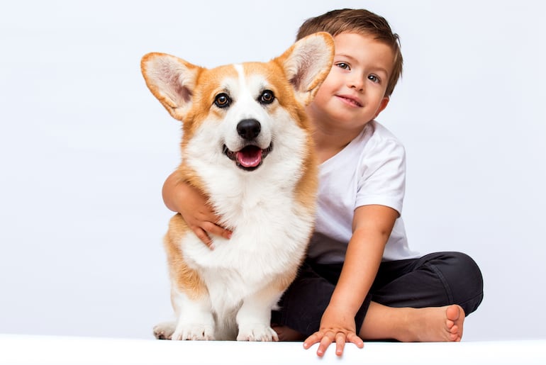 Perro con niño.