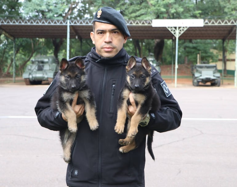 Sol Cartes y Patrick Blendin hija y yerno de Horacio Cartes donan dos cachorros Pastor Alemán al Regimiento Escolta Presidencial.