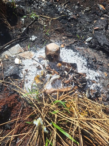 Restos óseos encontrados en un sector de la fracción Solares del Amambay de la capital departamental.