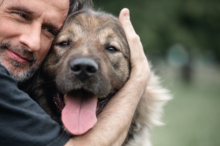 Una de las principales razones por las que los perros son considerados los mejores amigos del hombre es su increíble lealtad.