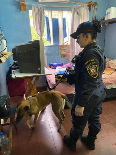 Una agente de la Policía Nacional con un perro antidrogas durante una requisa en la Agrupación Especializada, el jueves.