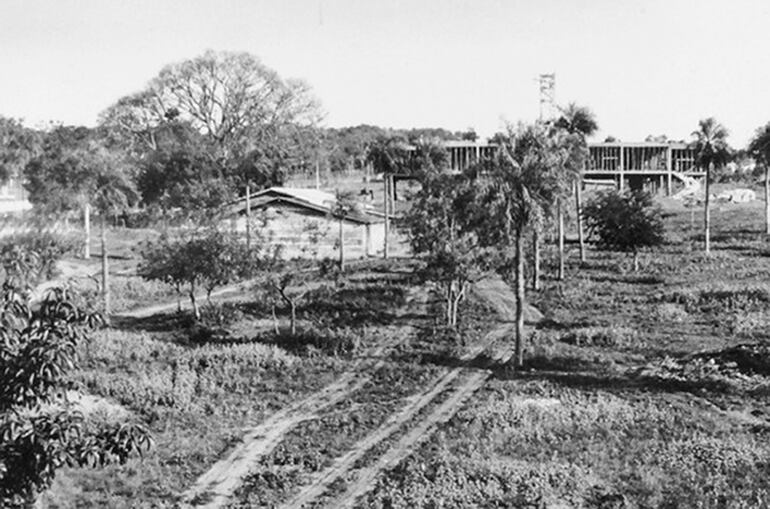 Este entorno subtropical ha sido el hogar de la misión diplomática de los EE. UU. desde la década de 1950, lo que ha dado décadas para que los árboles y las plantas se establezcan y crezcan.