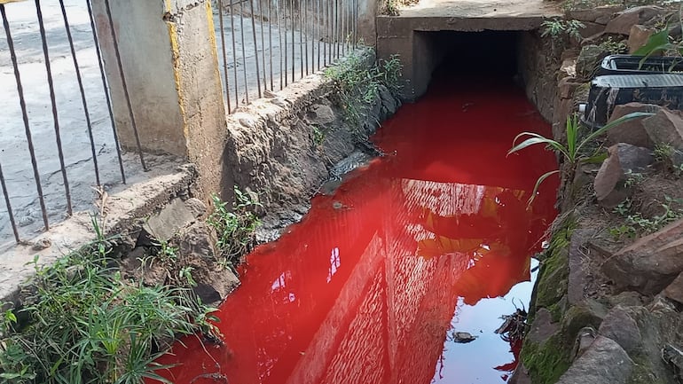 El afluente de color rojo aparentemente salía del terreno de Laboratorios Lasca, pero el Mades descartó la situación.