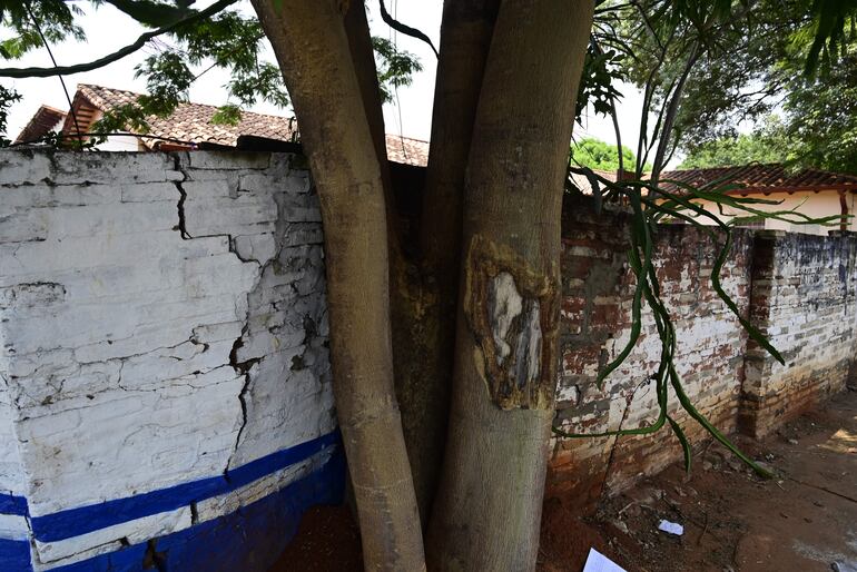 El muro de la escuela Blas Garay, del barrio Hipódromo está en pésimo estado para el inicio de clases.