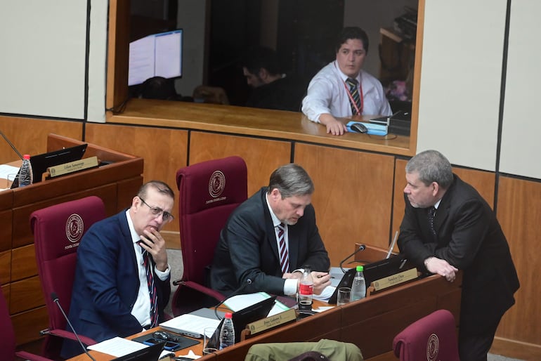 Erico Galeano, Natalicio Chase y Antonio Barrios, senadores cartistas.