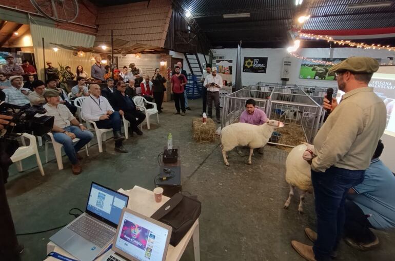 Everton Walter presenta la raza ovina lanera-lechera frisona.