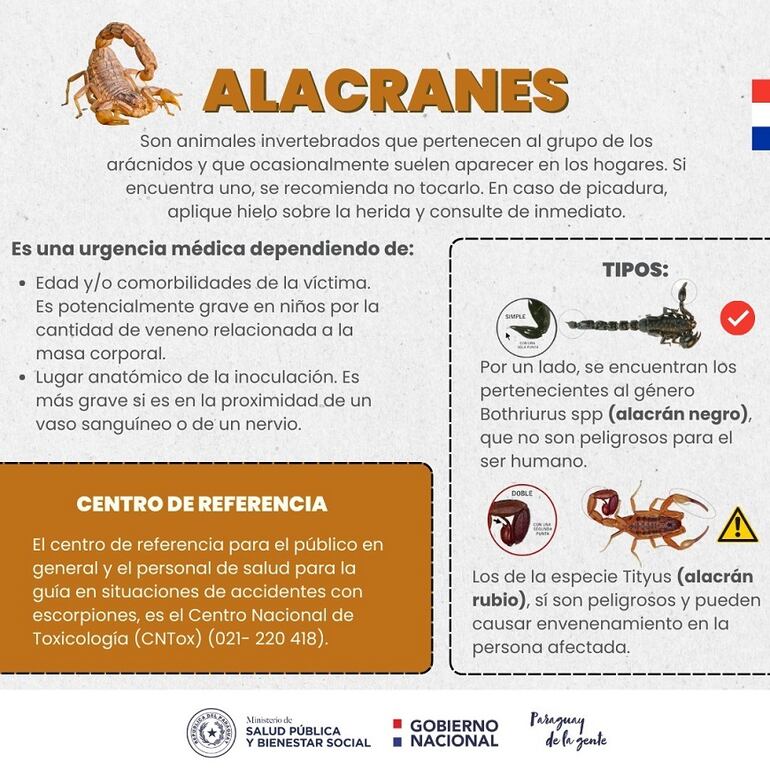 Picadura de alacranes: recomendaciones para personas afectadas.