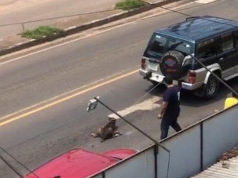 Momento en que la camioneta, que arrastraba al perro con una cuerda,  se detiene en medio de la calle.