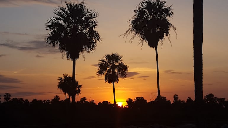 Atardecer en el Chaco